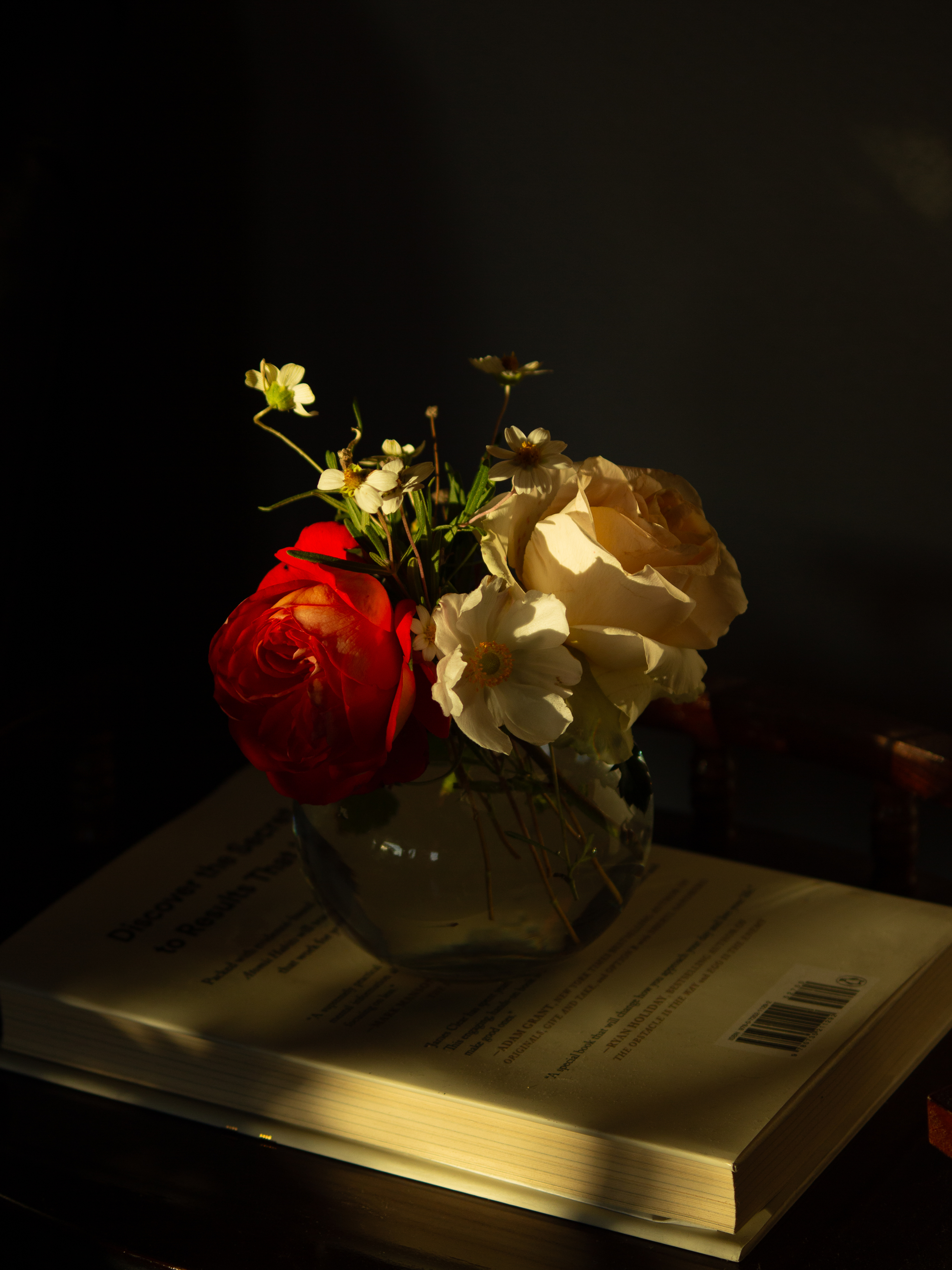 Still life of a flower.