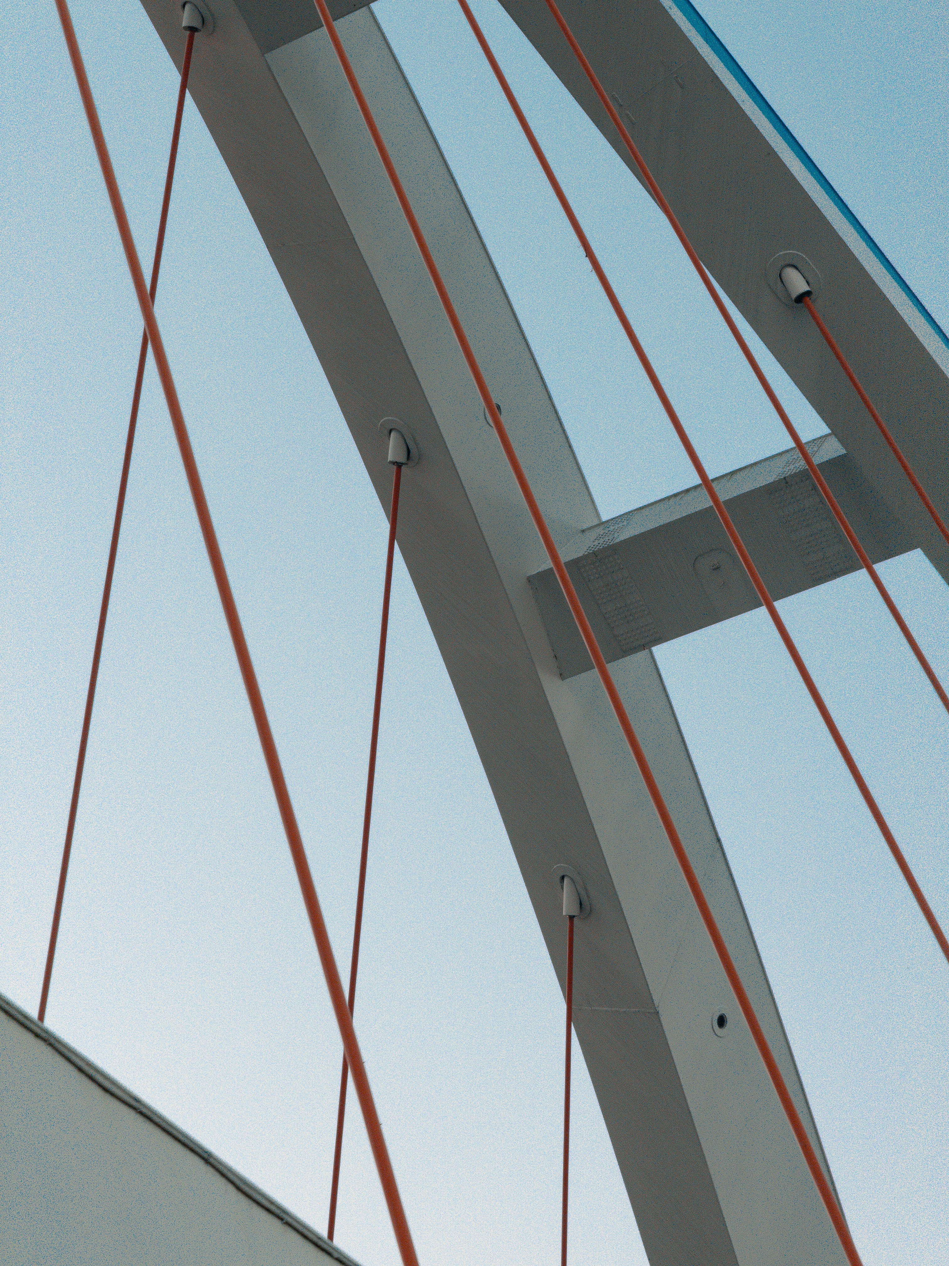 Bridge (Photo)
